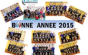 Bonne Année 2015